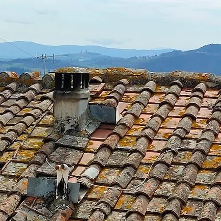 Casadipaola